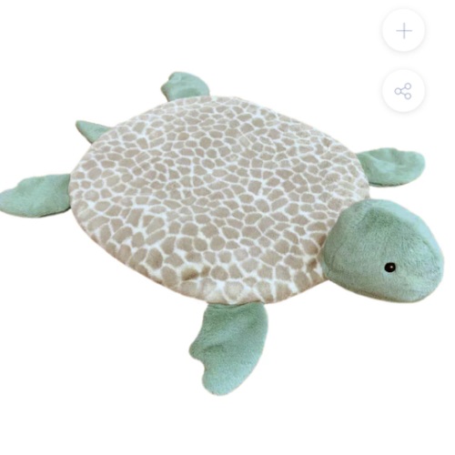 Taylor the Turtle Play Mat