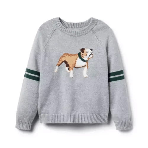 Boy Classic Grey Heather Bulldog Striped Sweater by Janie and Jack