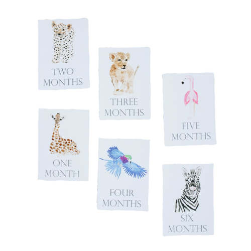 Baby Month Cards