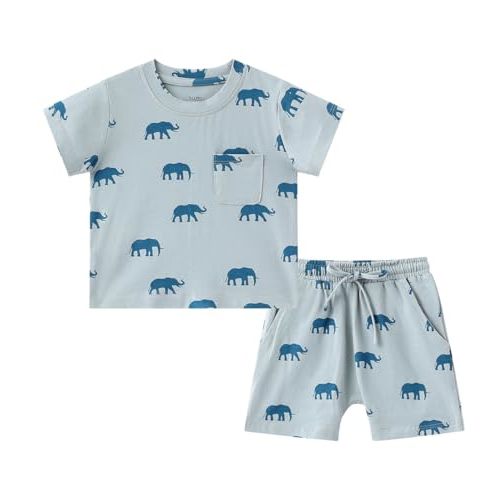 Baby Boys Clothes Set Infant Summer Short Sleeve T Shirt Tops Short Set Toddler Casual Outfits