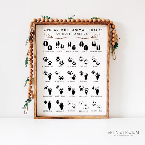 Animal Tracks Nursery Art Print: Woodland Decor (11x14 or 13x19 in UNFRAMED)