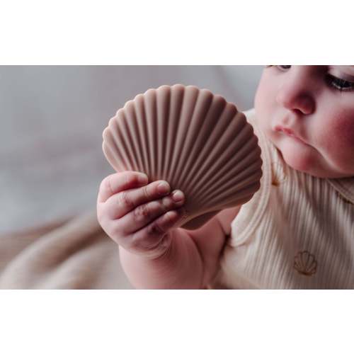 Seashell Silicone Teether – Maddex River