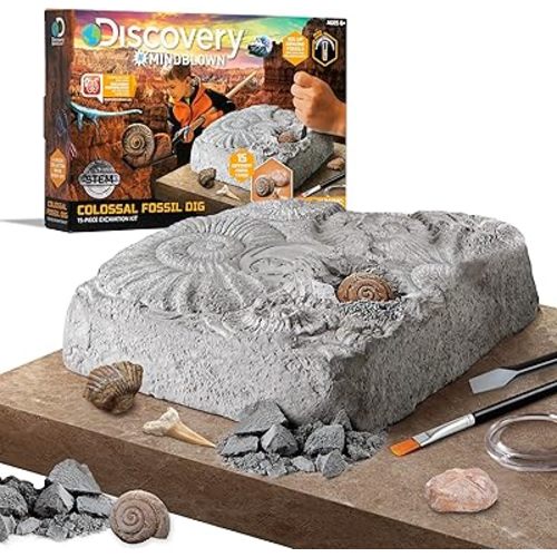 Discovery Colossal Fossil Dig Set, 15-Piece Archeology Excavation Kit, Uncover Real Shark Teeth and More, STEM Toys for Boys and Girls