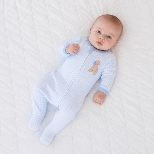 Puppy Playtime Applique Zip Footie - Light Blue