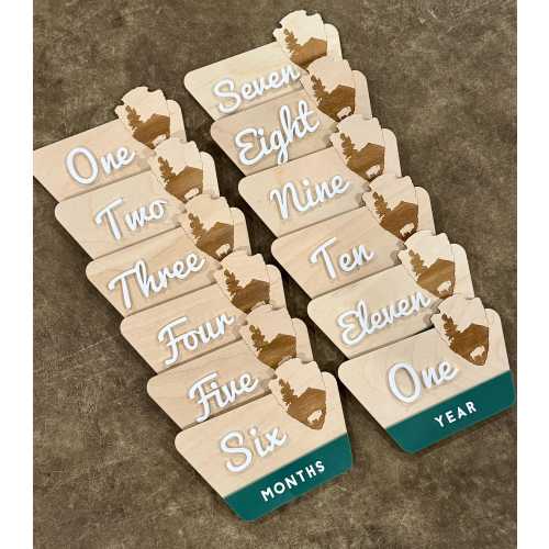 National Park Monthly Milestone Discs | Baby Monthly Milestone Signs | Monthly Milestone Markers | Let the Adventure Begin