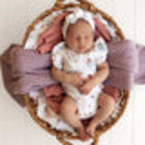 Fairy Garden Organic Short Sleeve Bodysuit | Snuggle Hunny