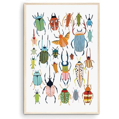 Nationcog Insect Alphabet Print, Nursery Wall Art, Bugs Print, Kids Room Decor, Nursery Decor, Alphabet Poster, Kids Wall Art, Gift for Him Her (Unframed) (9x11)
