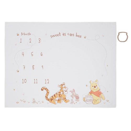 Disney's Winnie the Pooh Milestone Blanket