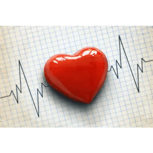 Celine's Heart Fund