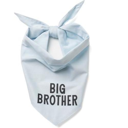 THE PAWS My Big Brother Dog & Cat Bandana, Blue, Large - Chewy.com
