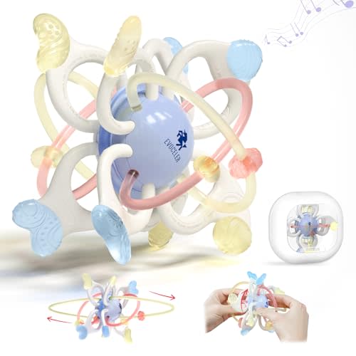 Evoceler Baby Toy, Montessori Sensory Teether Toy for 0-6, 6-12 Months, Rotatable 10 Textures Soft Silicone Teething Toy with Storage Box, Perfect Size for Grasp, Ideal Baby Boy Girl Gift