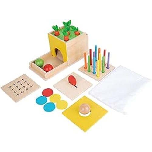 Adena Montessori 5 in 1 Wooden Montessori Play Kit Baby Toys,Object Permanence Box,Matchstick Color Drop,Cotton Swab Drop Game,Carrot Harvest and Coin Box for Kid 1 Year Old,Gift for Baby 6-12 Month