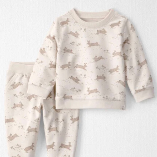 Baby 2-Piece Organic Cotton Pullover & Pant Set in Jumping Bunny Print  - Little Planet | Carter's