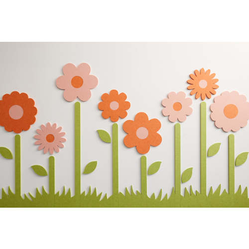 Grapefruit Blossoms with Stems