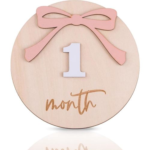Daisy 3D Baby Monthly Milestone, Wooden Baby Milestone Signs, Monthly Milestone Wood Discs, Baby Milestone Discs (A24)