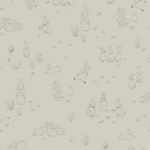 Buy Peter Rabbit™ Muslin Swaddles Blankets [2-Pack] | Saranoni