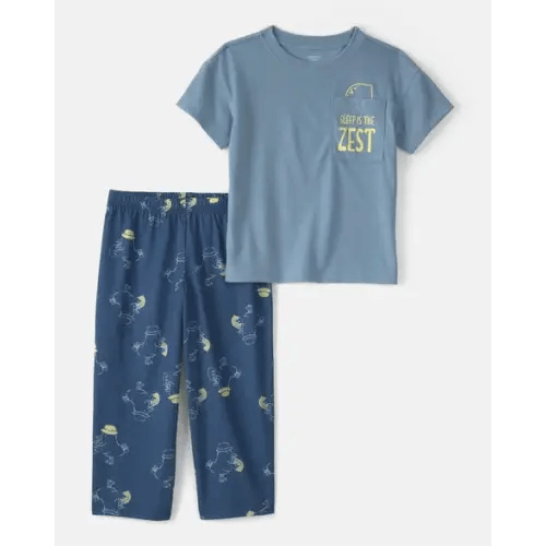 Toddler Boy Bird Loose Fit 2-Piece Pajama Set - Blue | Carter's