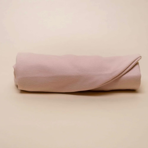 Butterr Pillow Cover in Blush