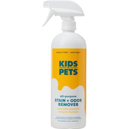 KIDS 'N' PETS Instant All Purpose Stain & Odor Remover, 27-fl oz - Chewy.com