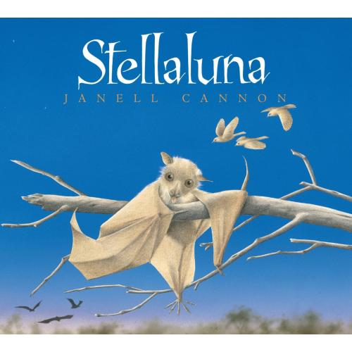 Stellaluna Board Book by Janell Cannon | Village Books and Paper Dreams - Fairhaven