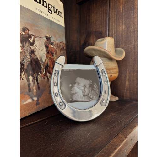 The Horseshoe Picture Frame