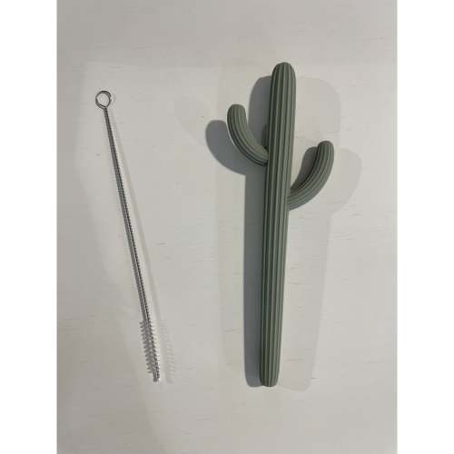 Cactus Teether- Sage