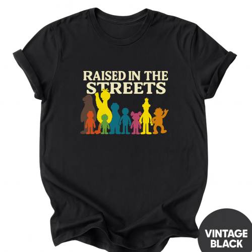 Vintage Sesame Street Graphic Tee: Retro Festival T-Shirt