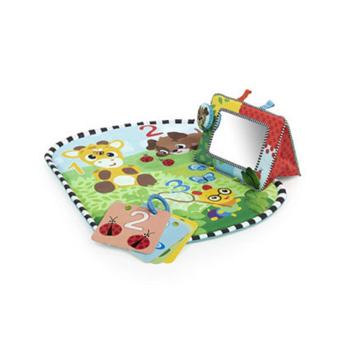 Infant Discovery Garden Tummy Time Mat Mirror