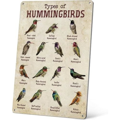 HYBLOM Vintage Hummingbird Guide Metal Sign - Types of Hummingbirds Tin Poster - Educational Bird Identification Wall Art, Office, Classroom, and Home Decor 8x12 Inches