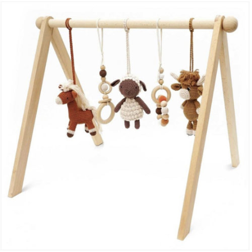 Baby Activity Gym & Crochet Toys