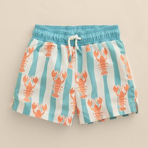 Baby & Toddler Little Co. by Lauren Conrad Swim Trunk