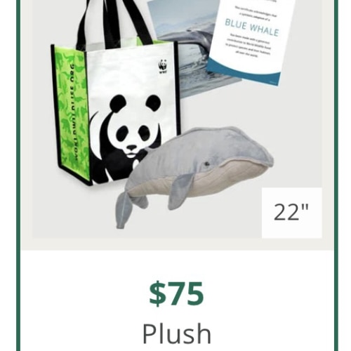 Adopt a Blue Whale | Symbolic Adoptions from WWF