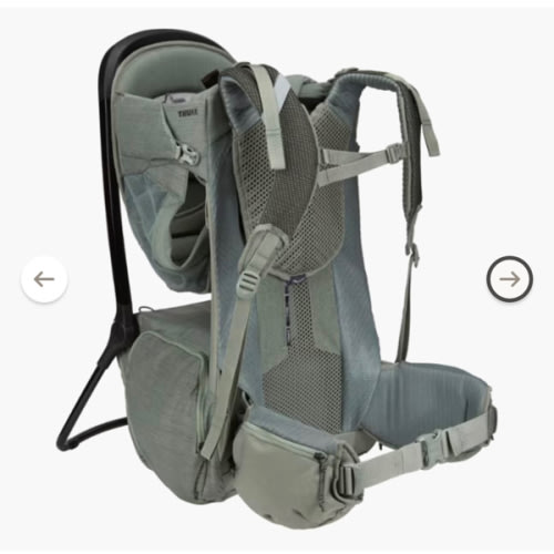 Thule Sapling Child Carrier | REI Co-op