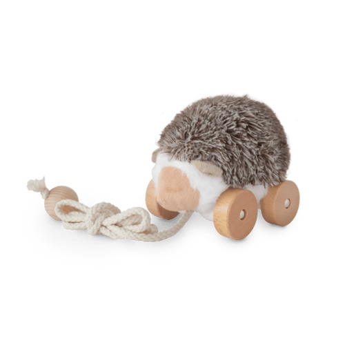 Hedgie – Little Lamb Kind