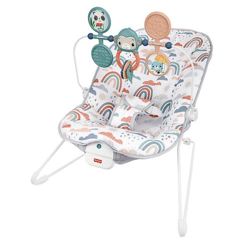 Fisher-Price® Rainbow Showers Baby Bouncer
