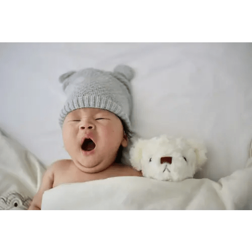 Boise Cloth Diapers | Shop Now, Save More