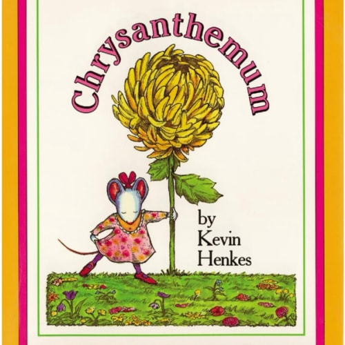 Chrysanthemum