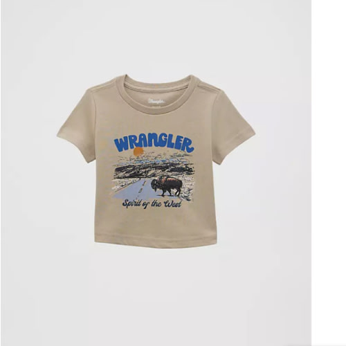 Little Boy's Short Sleeve Graphic T-Shirt