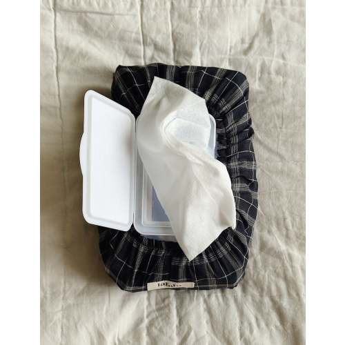 Wet Wipe Cover in Blue Check