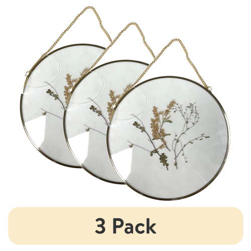 (3 pack) Mainstays Hanging Gold Circular Framed Glass Dried Pressed Floral Wall Decor, 9x9