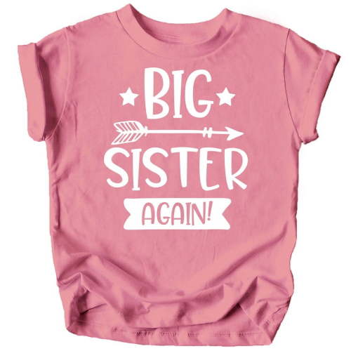 Arrow Big Sister Again Sibling Announcement Shirts for Baby and Toddler Girls Sibling Outfits Mauve Shirt