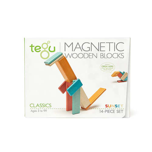 Tegu - 14 Piece Magnetic Wooden Block Set