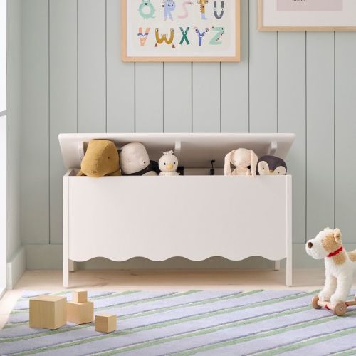 Daisy Toy Chest