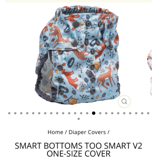 Smart Bottoms Too Smart V2 One-Size Cover - forest friends