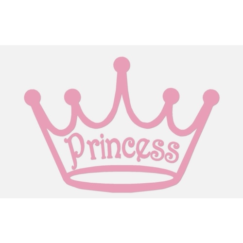 Princess Fund