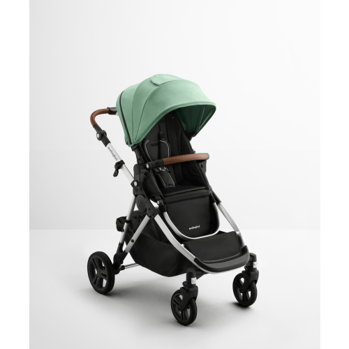 Single-to-Double Stroller 3.0
