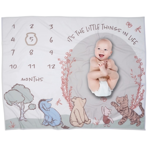 Pooh Bear & Pals Milestone Baby Blanket