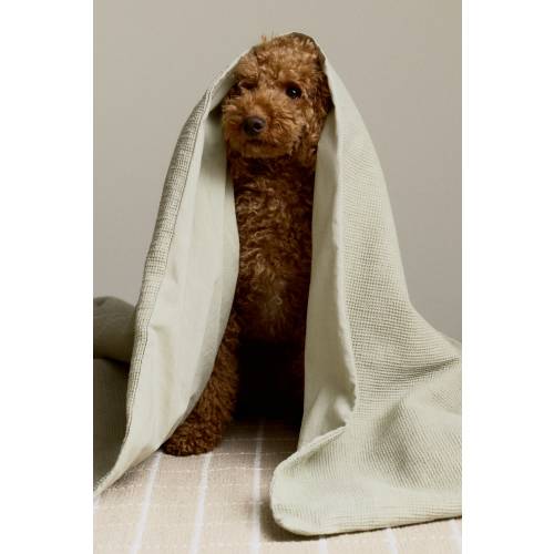 WAFFLED CRIB DUVET COVER SET