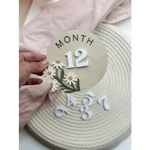 Wooden Milestones Set, Interchangeable Monthly Milestones, Baby Milestone Cards, Baby Monthly Milestone Marker, Personalized Baby Wood Sign