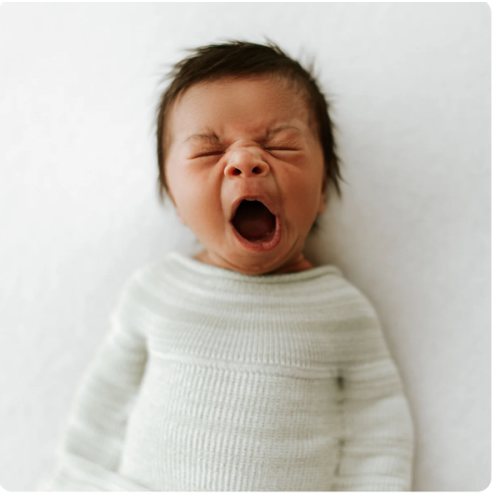 Bamboo Mint Swaddle Sleep Sack – Swaddelini